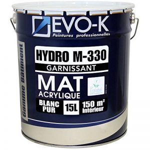 EVO-K Peinture professionnelle Murs & Plafonds HYDRO M330 Acrylique Blanc Mat 15L - 150m² de la marque EVO-K image 0 produit