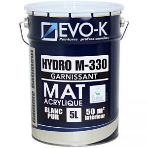 EVO-K Peinture professionnelle Murs & Plafonds HYDRO M330 Acrylique Blanc Mat 5L - 50m² de la marque EVO-K image 0 produit