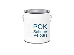 Peinture Acrylique pour murs Satin Lessivable - Blanc Grisé - POK SATIN - 2,5 L - 10m²/L de la marque Pok image 0 produit