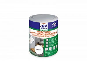 Peinture Anti-Condensation, Dip étanch - Blanc Satin, 0,75L de la marque DIP-ETANCH image 0 produit