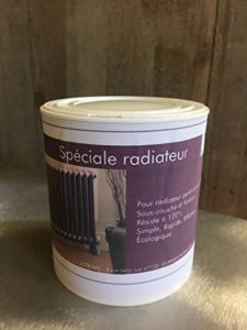 Peinture spéciale radiateur 500 ML - Satinée - Écologique (Blanc pur) de la marque Direct Usine image 0 produit