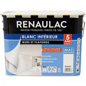 Renaulac Peinture intérieur Murs & Plafonds Bicouche Acrylique Blanc Mat 5L - 50m² de la marque Renaulac image 0 produit