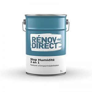 Rénovdirect Stop Humidité 3 en 1, Peinture d'Imperméabilisation Hydrofuge, Anti-Moisissure, 5L Blanc de la marque Rénovdirect image 0 produit